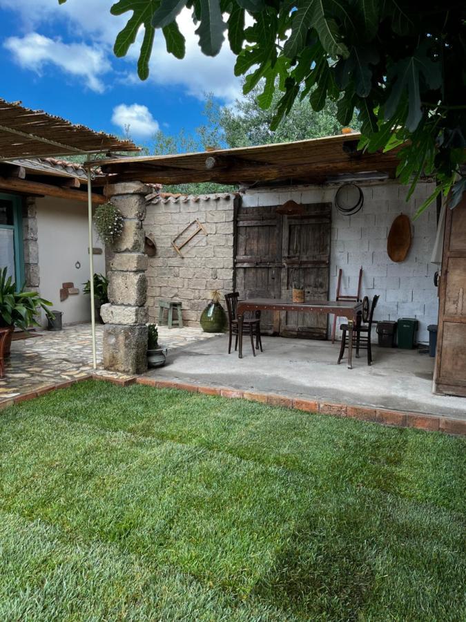 Graziosa Stanza Campidanese Su Terzu Guest House Oristano Exterior foto