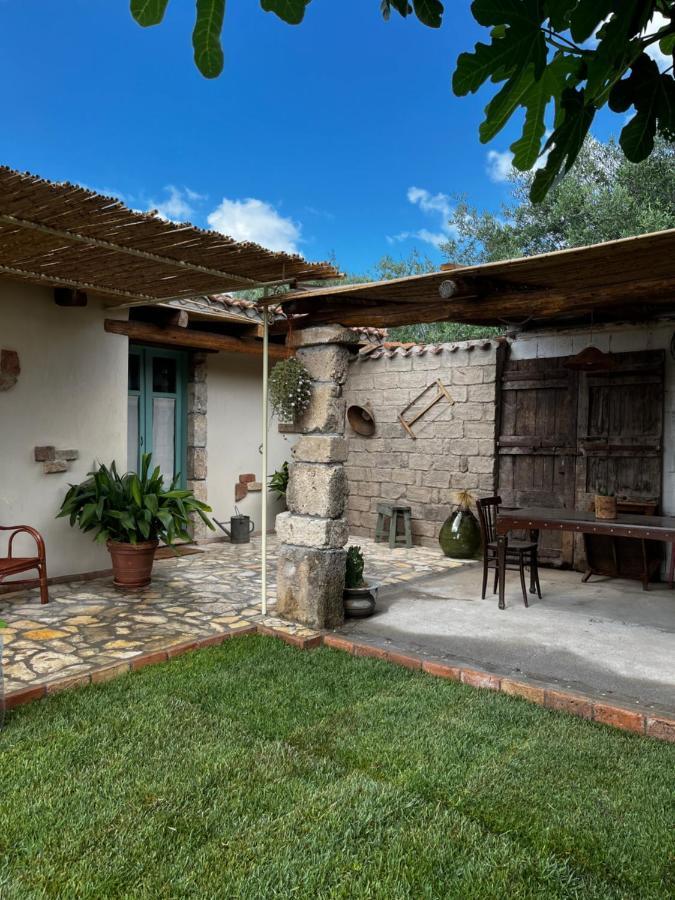 Graziosa Stanza Campidanese Su Terzu Guest House Oristano Exterior foto